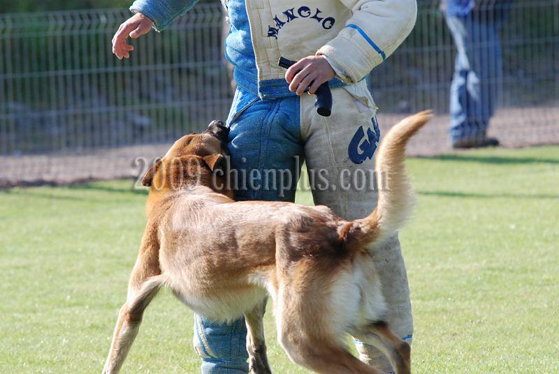 3 EME SELECTIF 2009 GRANDE SYNTHE 335.jpg